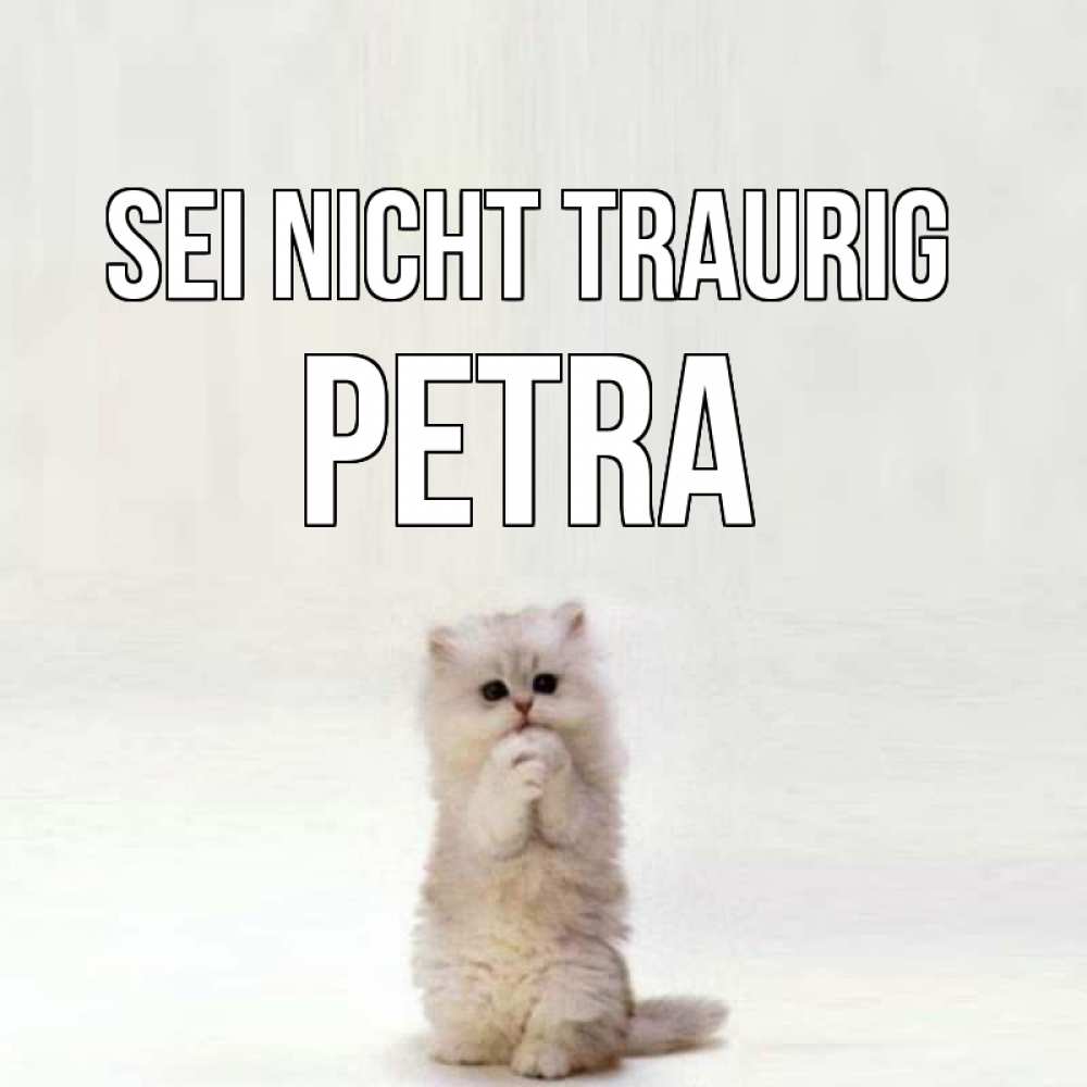 Открытка на каждый день с именем, Petra Sei nicht traurig грустный кот Прикольная открытка с пожеланием онлайн скачать бесплатно 