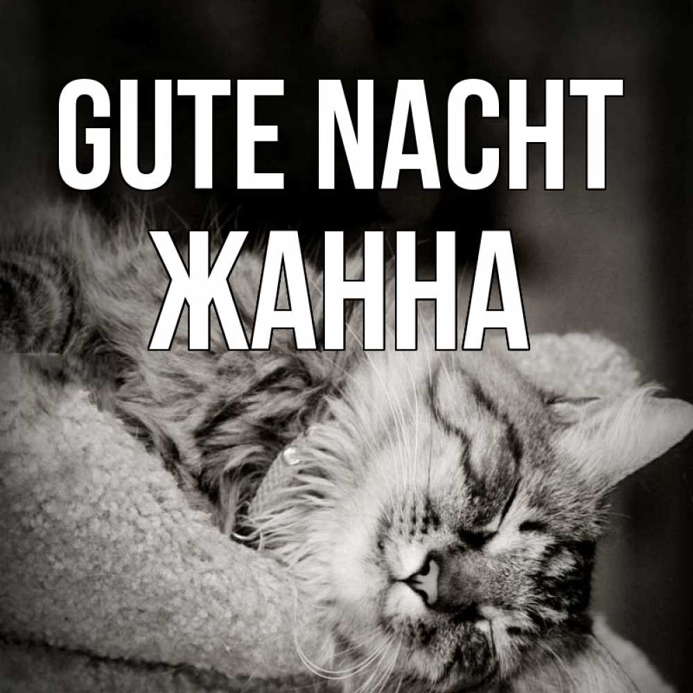 Открытка на каждый день с именем, Жанна Gute Nacht котярик пушистый Прикольная открытка с пожеланием онлайн скачать бесплатно 