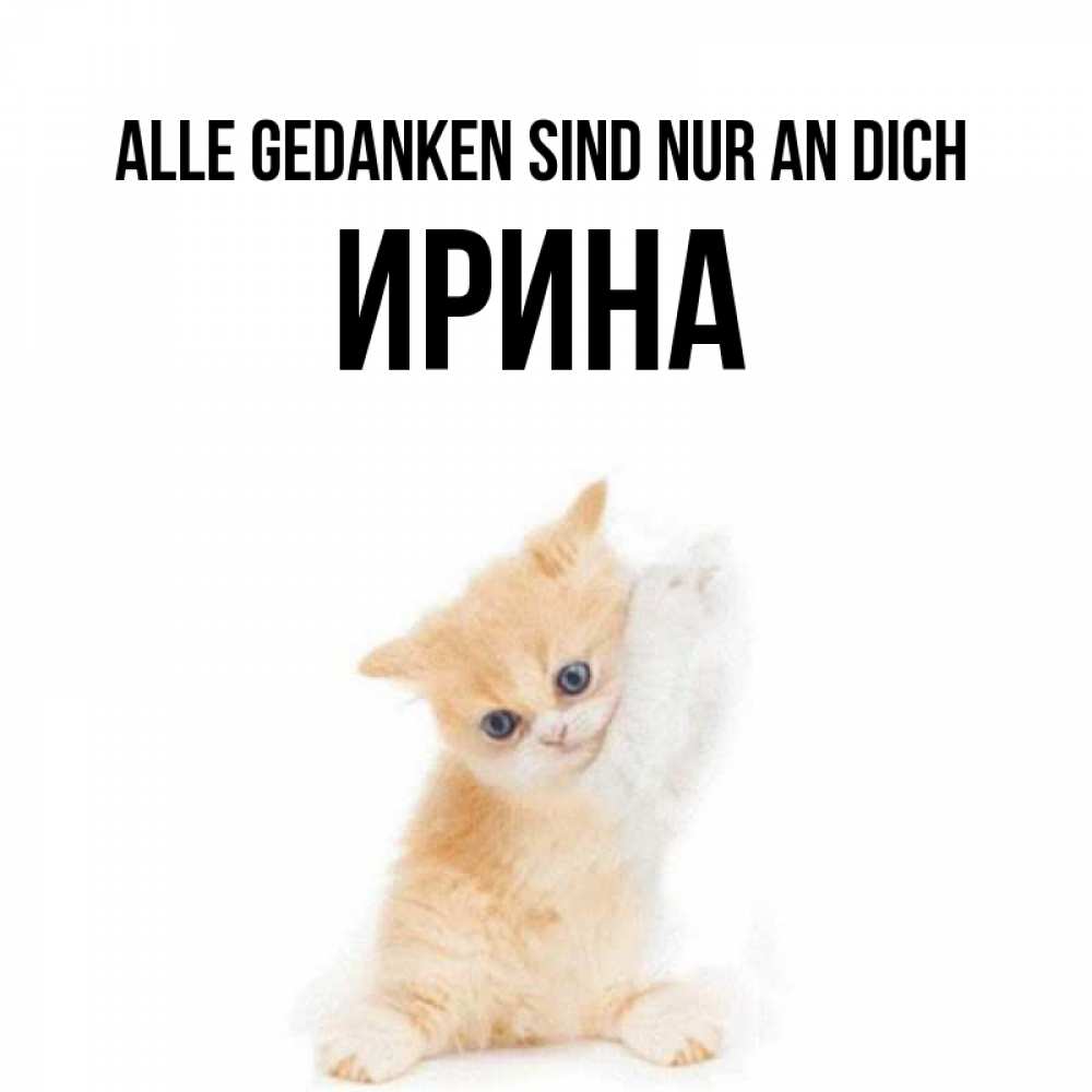Открытка на каждый день с именем, Ирина Alle Gedanken sind nur an dich зверушки и милота Прикольная открытка с пожеланием онлайн скачать бесплатно 