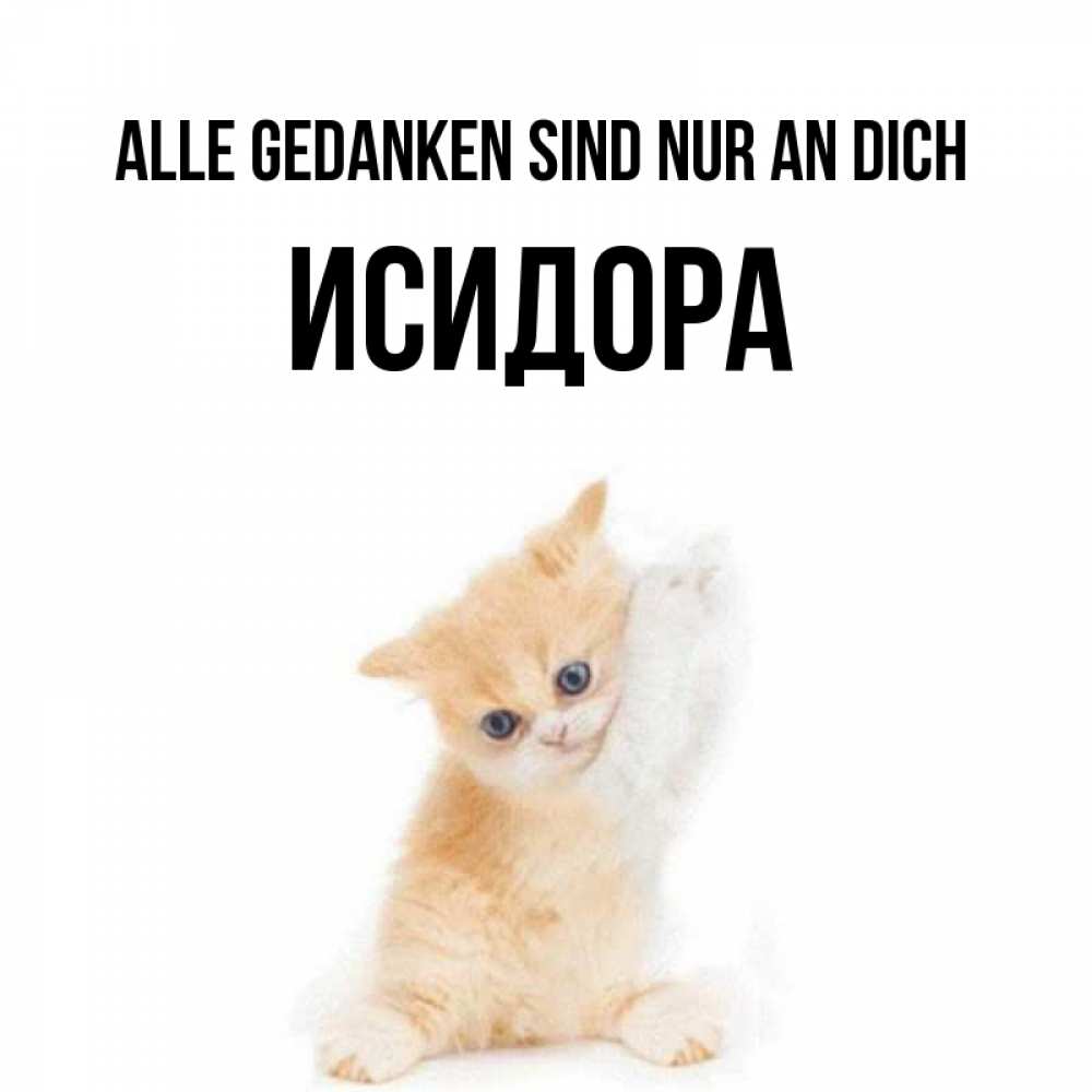 Открытка на каждый день с именем, Исидора Alle Gedanken sind nur an dich зверушки и милота Прикольная открытка с пожеланием онлайн скачать бесплатно 