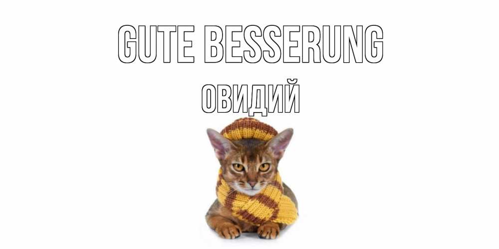 Открытка на каждый день с именем, Овидий Gute Besserung родные не болейте Прикольная открытка с пожеланием онлайн скачать бесплатно 