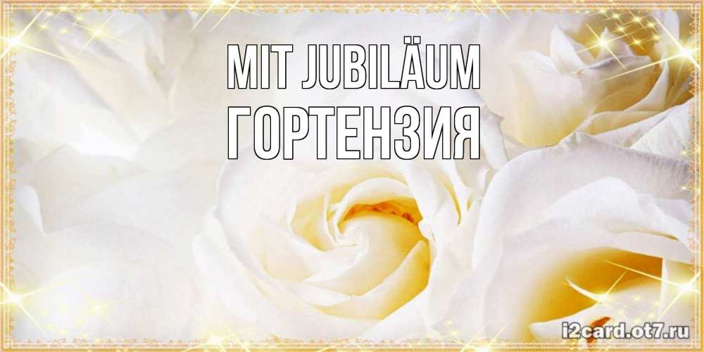 Открытка на каждый день с именем, Гортензия Mit Jubiläum красивые розы и капли росы на этих чудесных цветах Прикольная открытка с пожеланием онлайн скачать бесплатно 