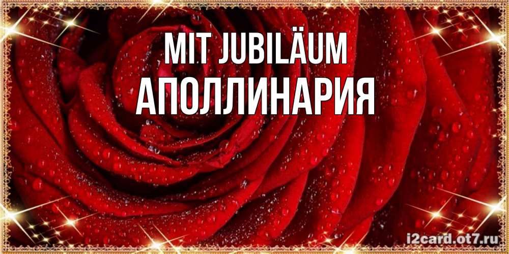 Открытка на каждый день с именем, Аполлинария Mit Jubiläum роса на розе блестящая в лучах солнца Прикольная открытка с пожеланием онлайн скачать бесплатно 