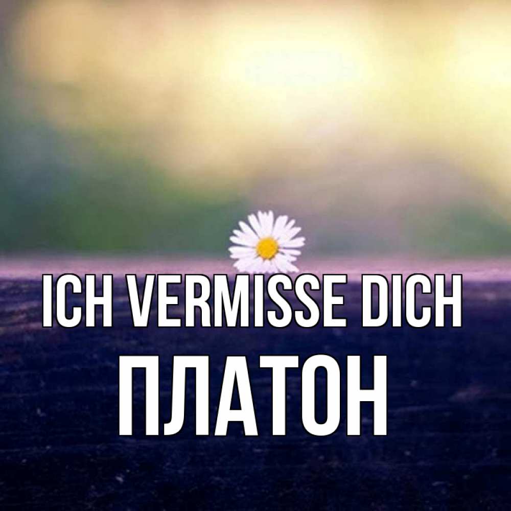 Открытка на каждый день с именем, Платон Ich vermisse dich приходи в гости Прикольная открытка с пожеланием онлайн скачать бесплатно 