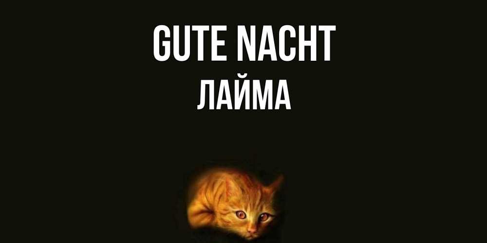 Открытка на каждый день с именем, Лайма Gute Nacht кот Прикольная открытка с пожеланием онлайн скачать бесплатно 