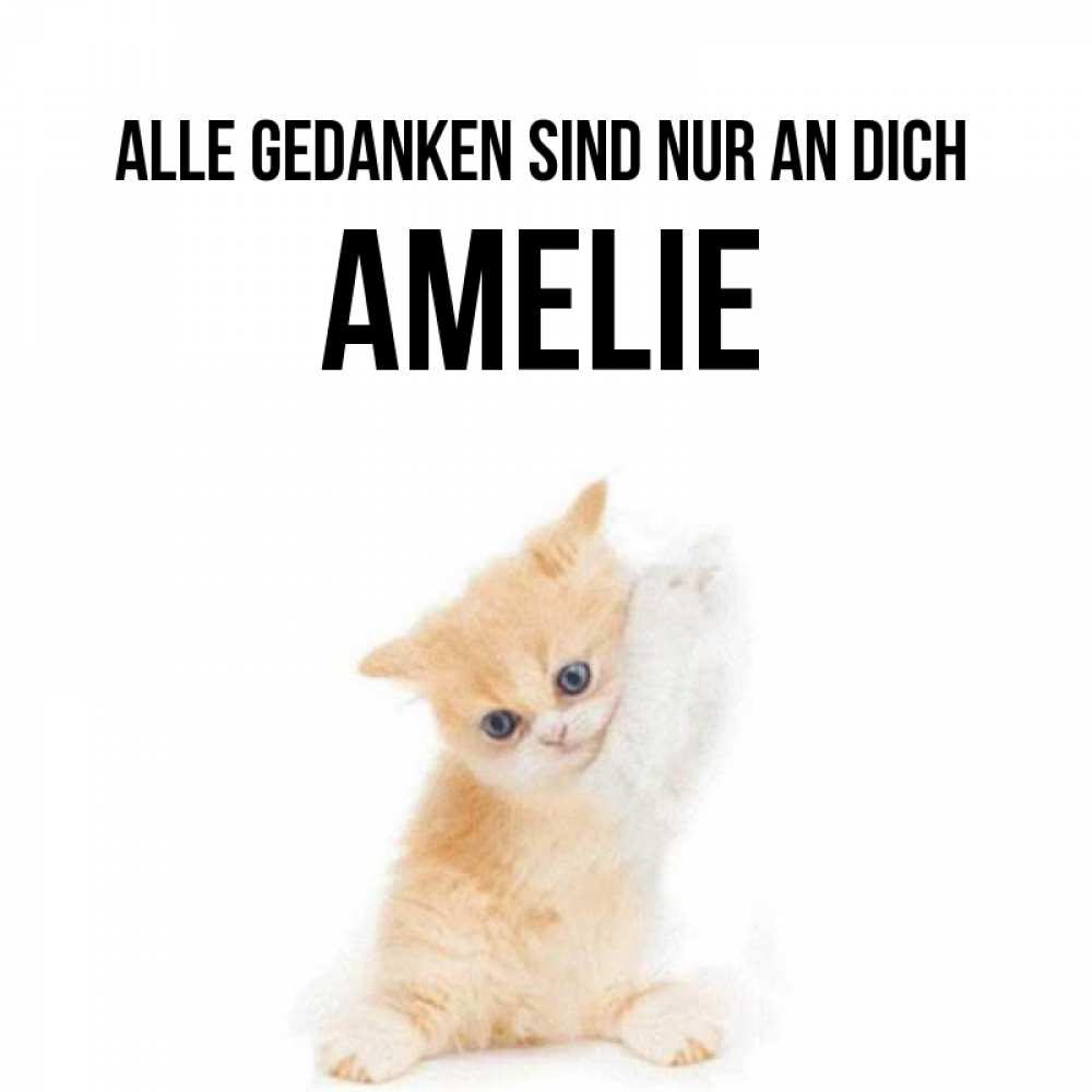 Открытка на каждый день с именем, Amelie Alle Gedanken sind nur an dich зверушки и милота Прикольная открытка с пожеланием онлайн скачать бесплатно 