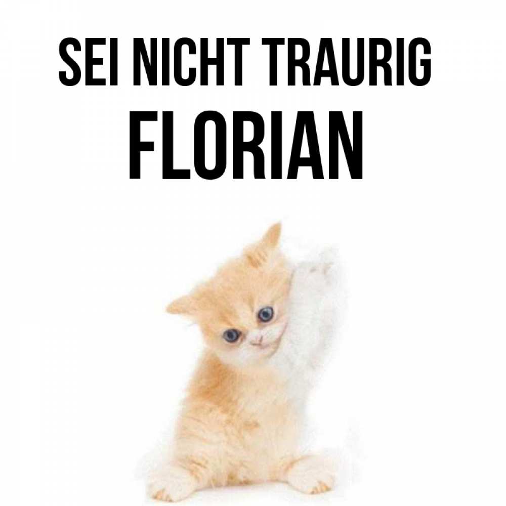 Открытка на каждый день с именем, Florian Sei nicht traurig просящий кот Прикольная открытка с пожеланием онлайн скачать бесплатно 