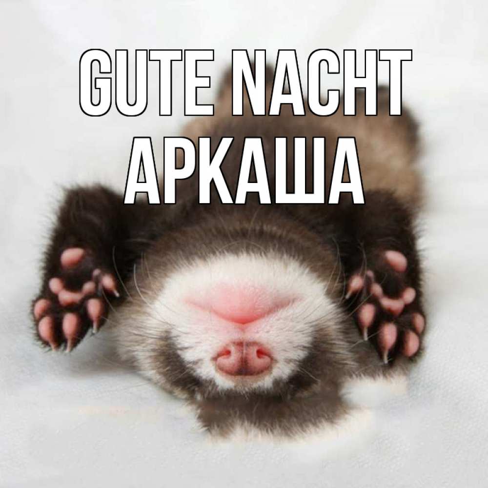 Открытка на каждый день с именем, Аркаша Gute Nacht зверек Прикольная открытка с пожеланием онлайн скачать бесплатно 