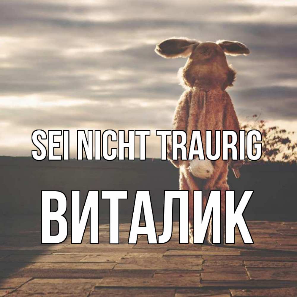 Открытка на каждый день с именем, Виталик Sei nicht traurig со спины Прикольная открытка с пожеланием онлайн скачать бесплатно 