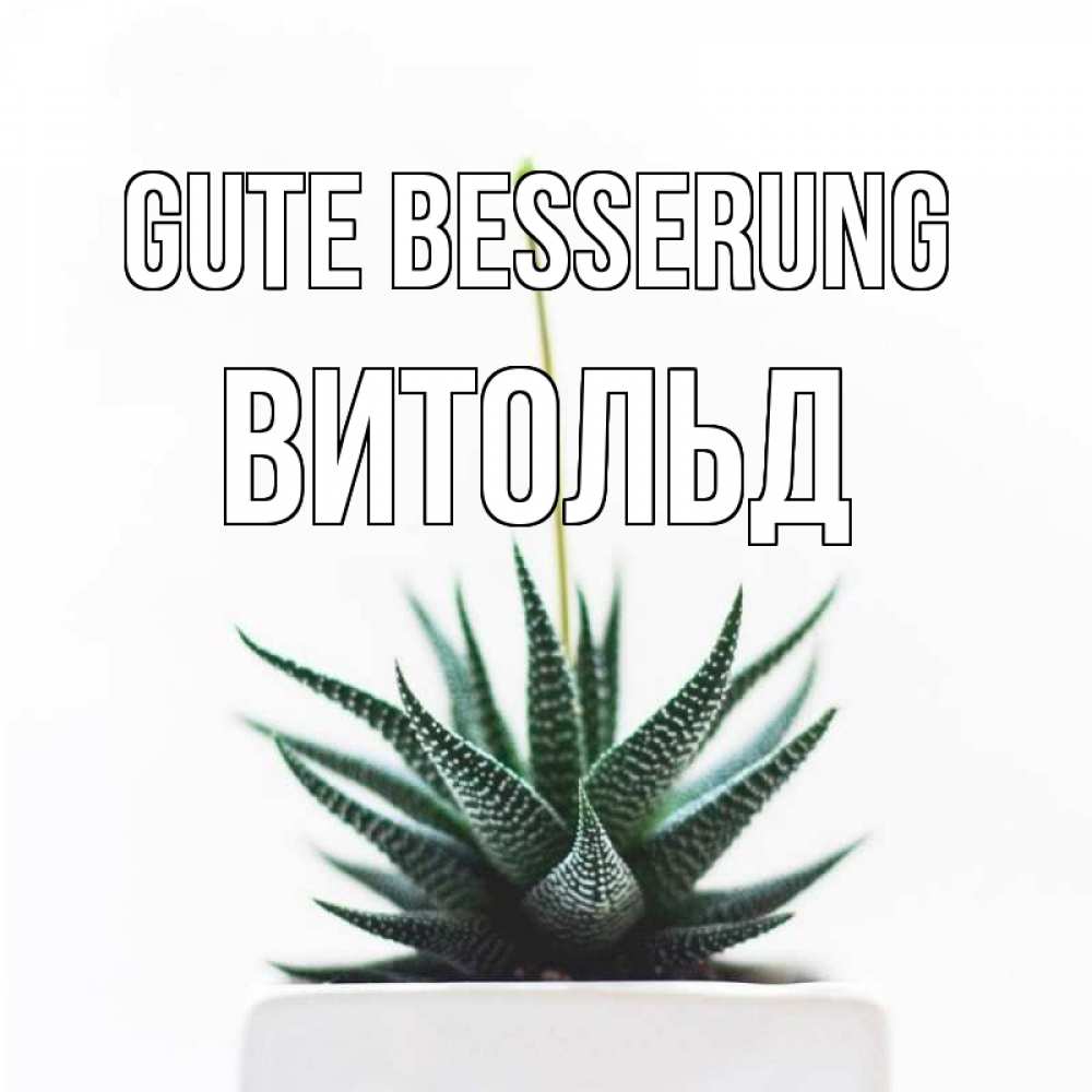Открытка на каждый день с именем, Витольд Gute Besserung короче это непонятная колючка Прикольная открытка с пожеланием онлайн скачать бесплатно 