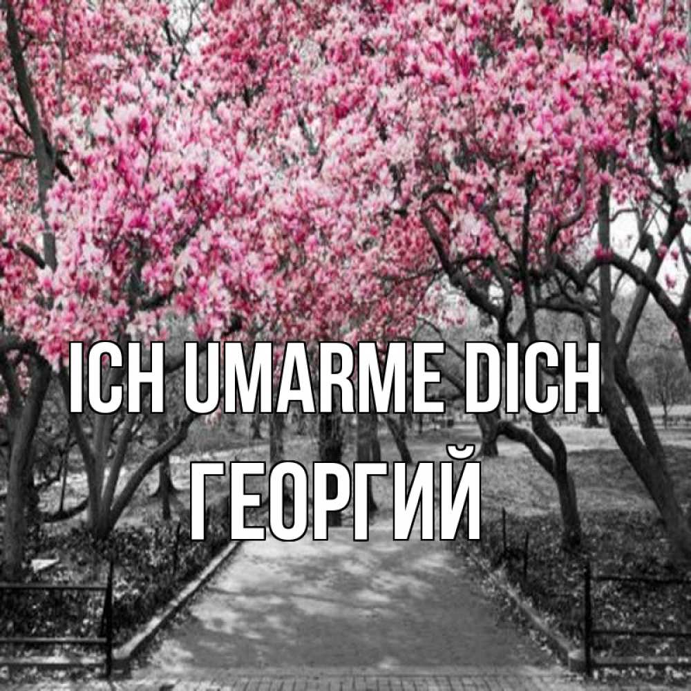 Открытка на каждый день с именем, Георгий Ich umarme dich обработанное фото Прикольная открытка с пожеланием онлайн скачать бесплатно 