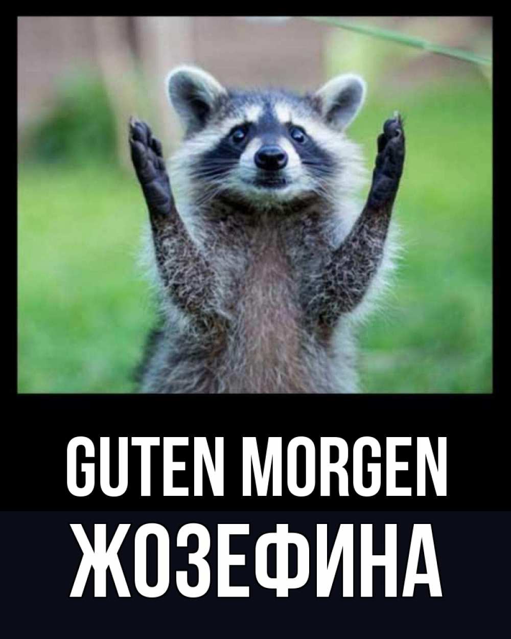 Открытка на каждый день с именем, Жозефина Guten Morgen хорошее настроение утречком Прикольная открытка с пожеланием онлайн скачать бесплатно 