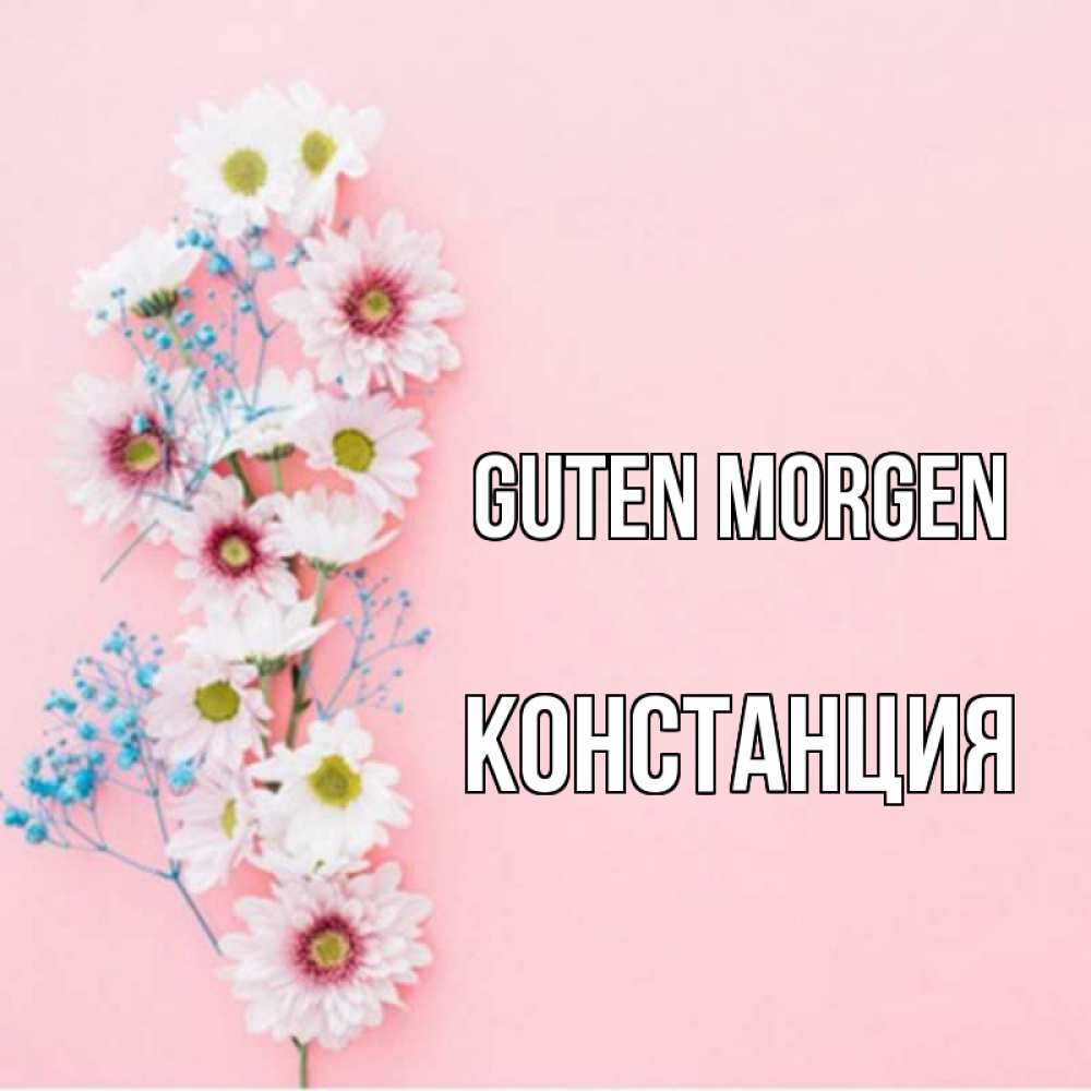 Открытка на каждый день с именем, Констанция Guten Morgen цветы с подписью Прикольная открытка с пожеланием онлайн скачать бесплатно 