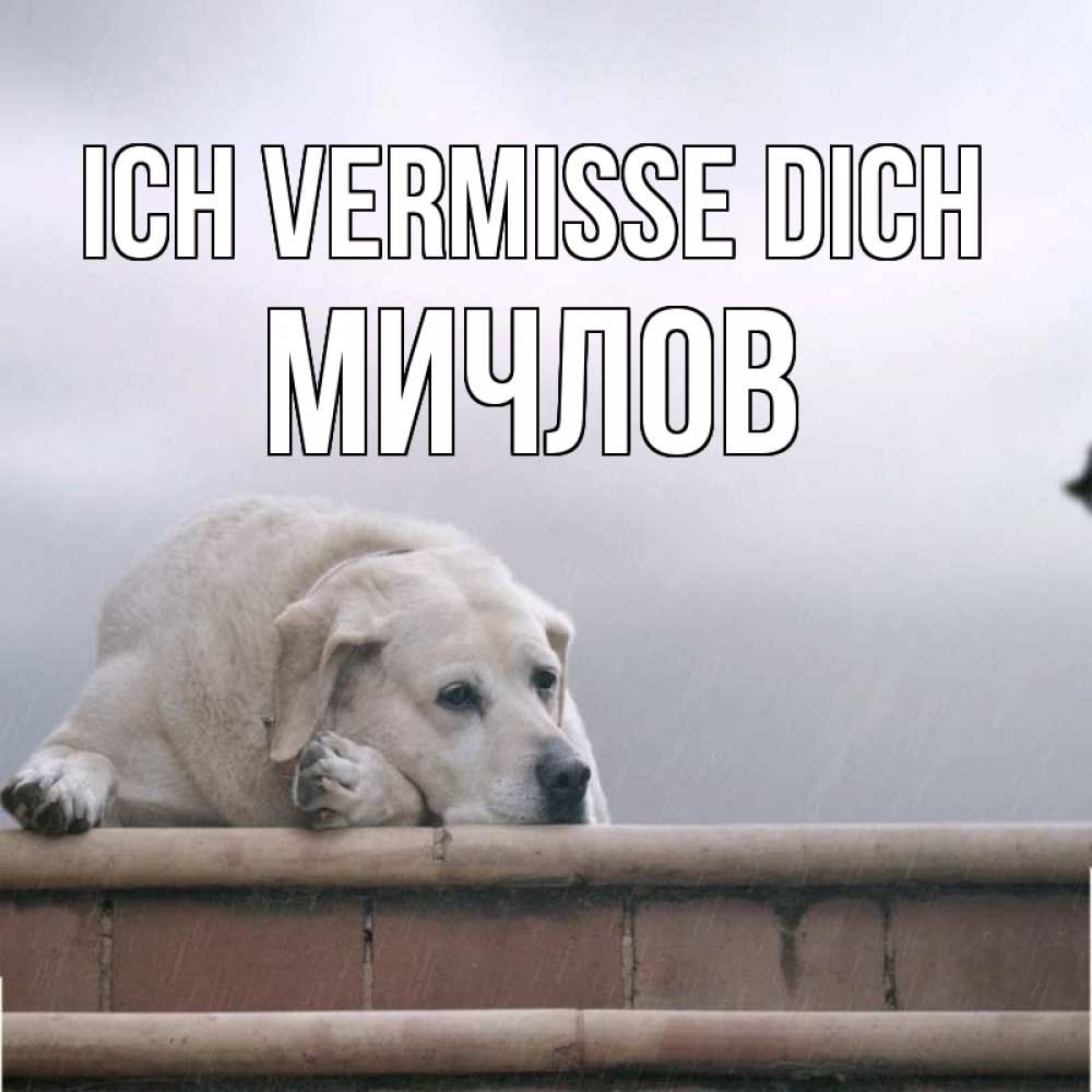 Открытка на каждый день с именем, Мичлов Ich vermisse dich ждет Прикольная открытка с пожеланием онлайн скачать бесплатно 