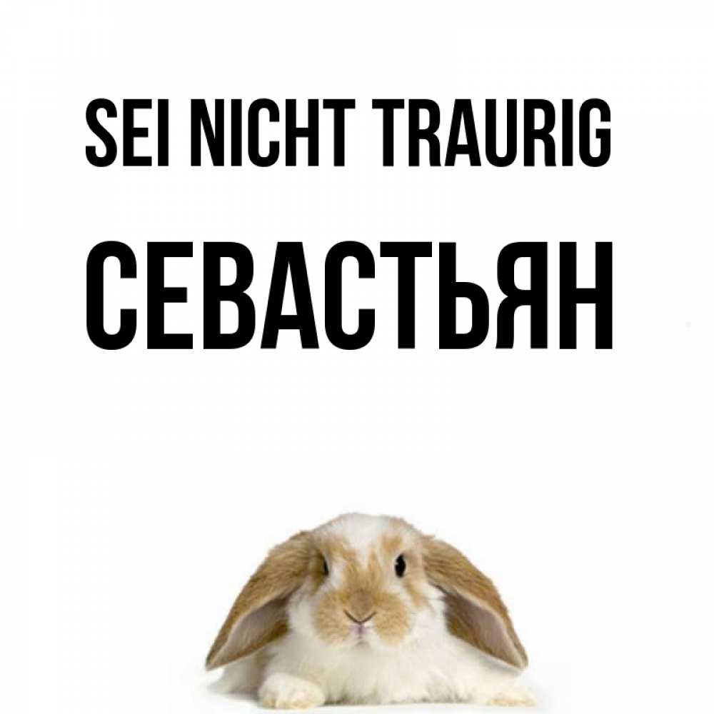 Открытка на каждый день с именем, Севастьян Sei nicht traurig коричнево белый заяц с большими ушками Прикольная открытка с пожеланием онлайн скачать бесплатно 