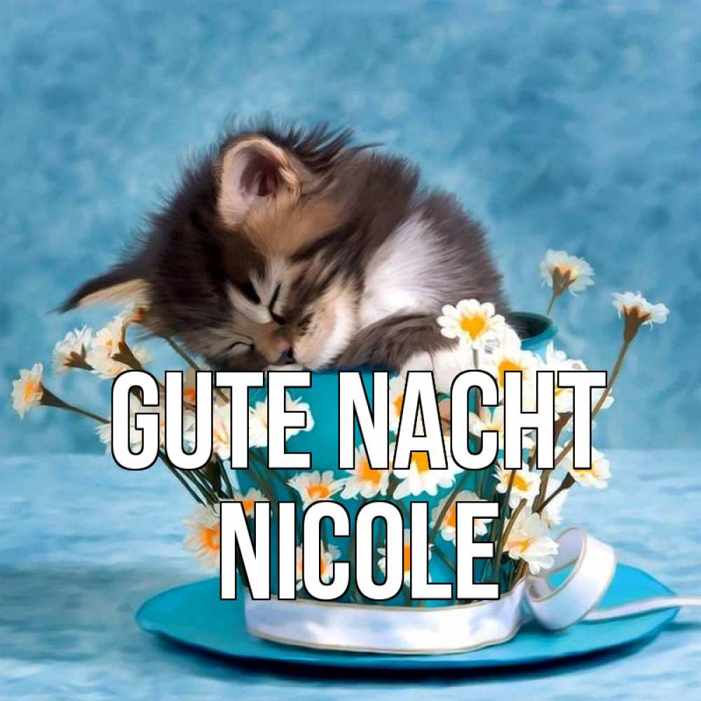 Открытка на каждый день с именем, Nicole Gute Nacht котенок спит в кружке с блюдцем Прикольная открытка с пожеланием онлайн скачать бесплатно 