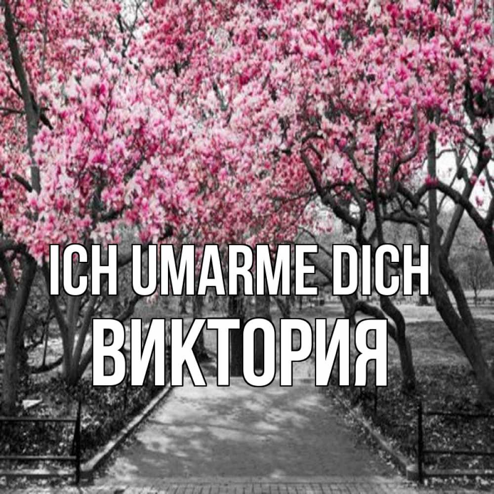 Открытка на каждый день с именем, Виктория Ich umarme dich обработанное фото Прикольная открытка с пожеланием онлайн скачать бесплатно 