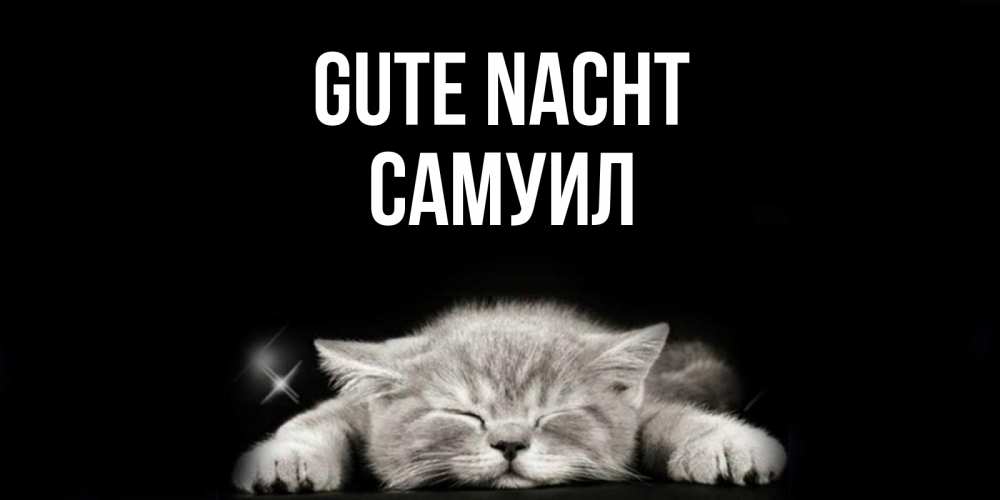 Открытка на каждый день с именем, Самуил Gute Nacht спящий котик Прикольная открытка с пожеланием онлайн скачать бесплатно 