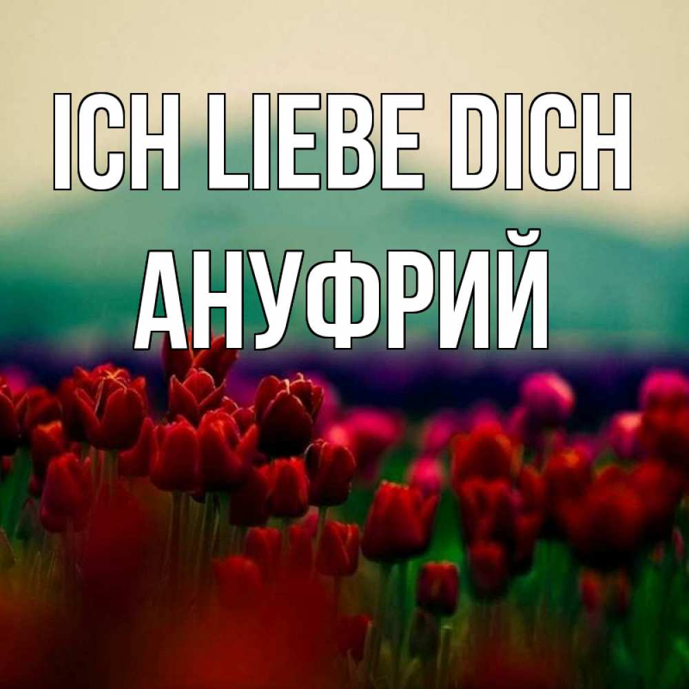 Открытка на каждый день с именем, Ануфрий Ich liebe dich тюльпаны 4 Прикольная открытка с пожеланием онлайн скачать бесплатно 