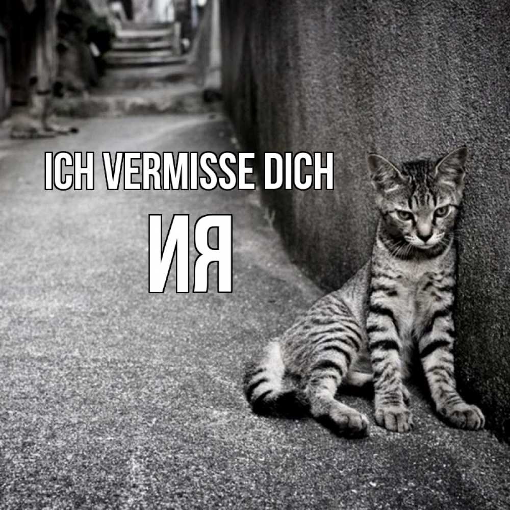Открытка на каждый день с именем, Ия Ich vermisse dich одиноко котику Прикольная открытка с пожеланием онлайн скачать бесплатно 