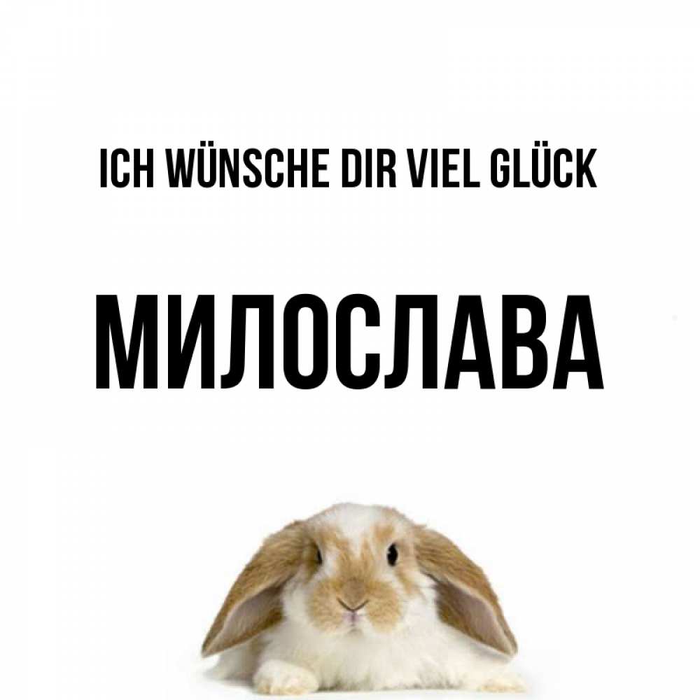 Открытка на каждый день с именем, Милослава Ich wünsche dir viel Glück открытки с произвольным текстом который можно вставить в открытку и создать ее самостоятельно бесплатно онлайн Прикольная открытка с пожеланием онлайн скачать бесплатно 