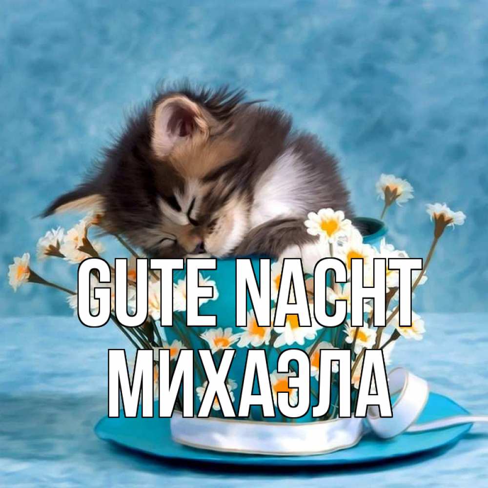 Открытка на каждый день с именем, Михаэла Gute Nacht котенок спит в кружке с блюдцем Прикольная открытка с пожеланием онлайн скачать бесплатно 