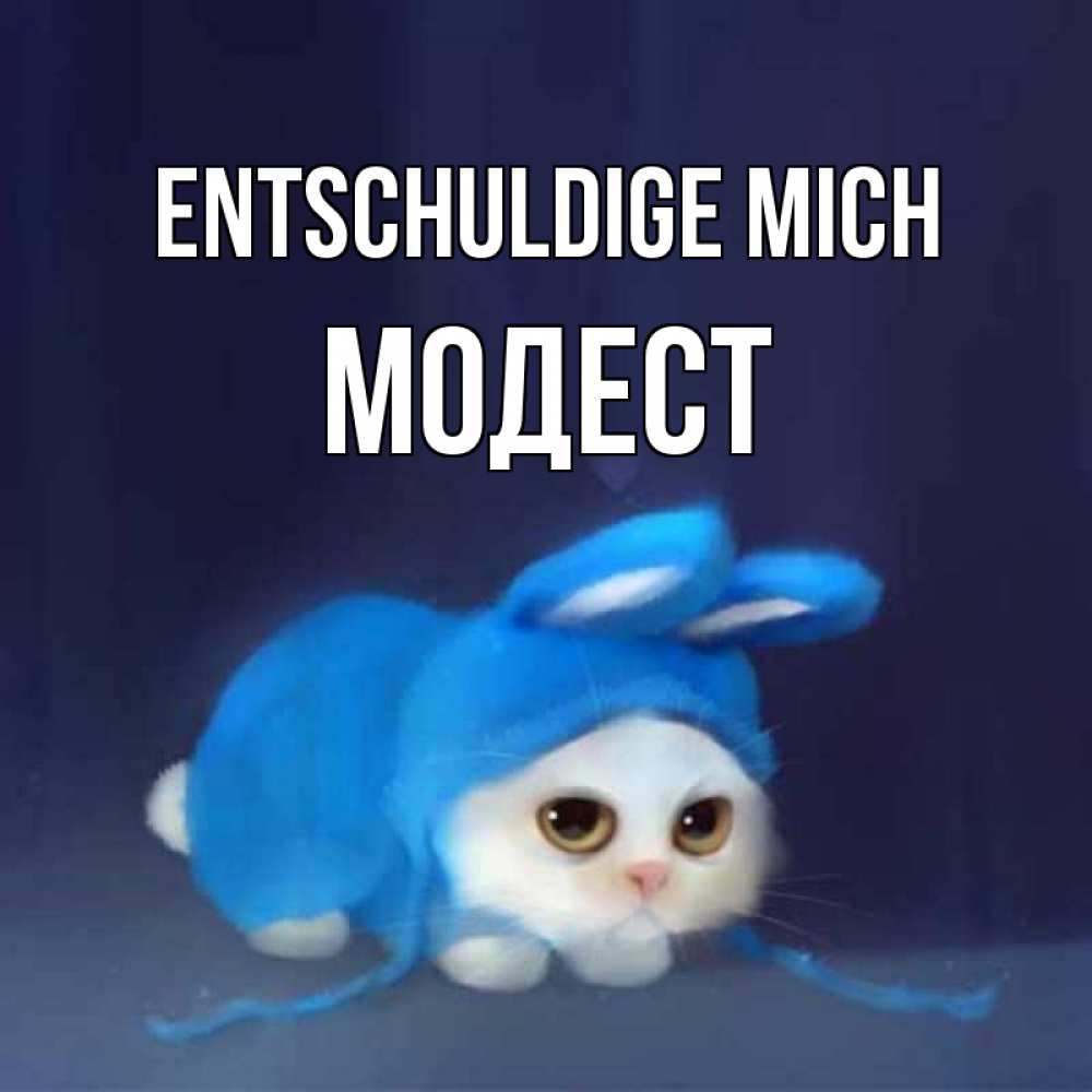 Открытка на каждый день с именем, Модест Entschuldige mich невинный котозай просит прощения Прикольная открытка с пожеланием онлайн скачать бесплатно 