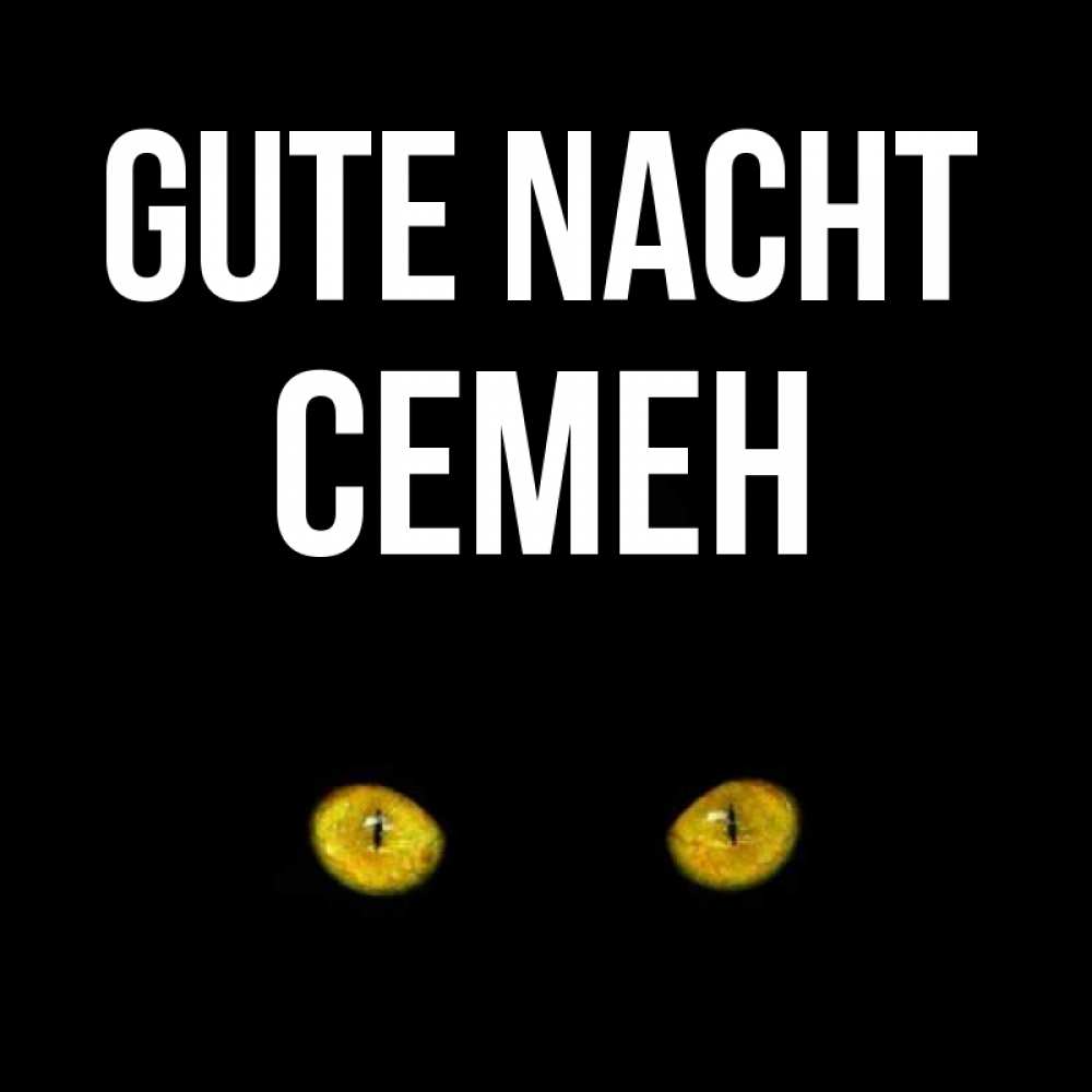 Открытка на каждый день с именем, Семен Gute Nacht сладких снов бесстрашный мой дружочек Прикольная открытка с пожеланием онлайн скачать бесплатно 