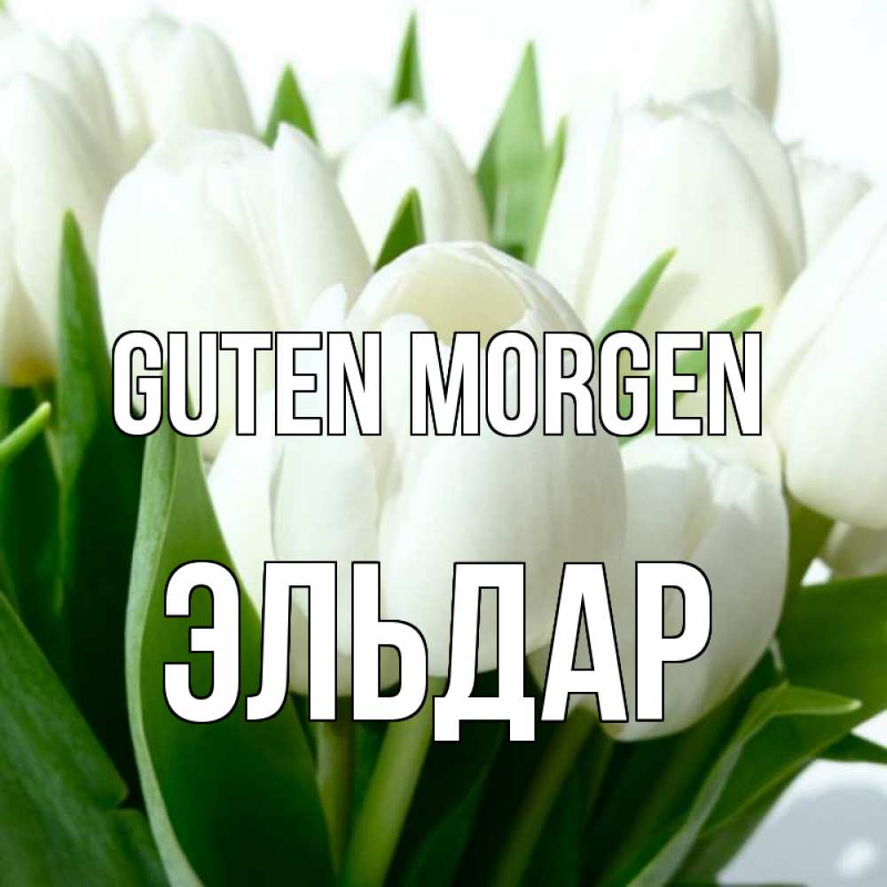 Открытка на каждый день с именем, Эльдар Guten Morgen открытки на каждый день по именам Прикольная открытка с пожеланием онлайн скачать бесплатно 