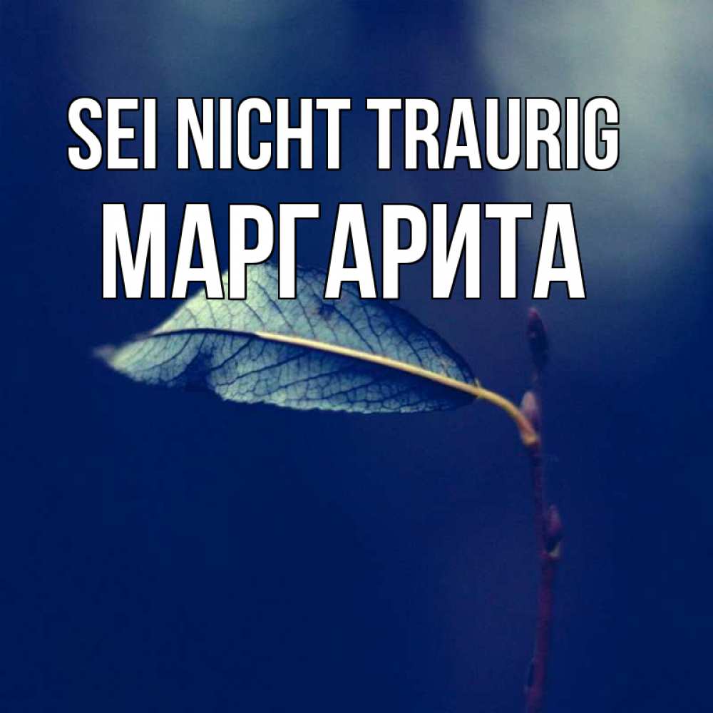Открытка на каждый день с именем, Маргарита Sei nicht traurig растение Прикольная открытка с пожеланием онлайн скачать бесплатно 