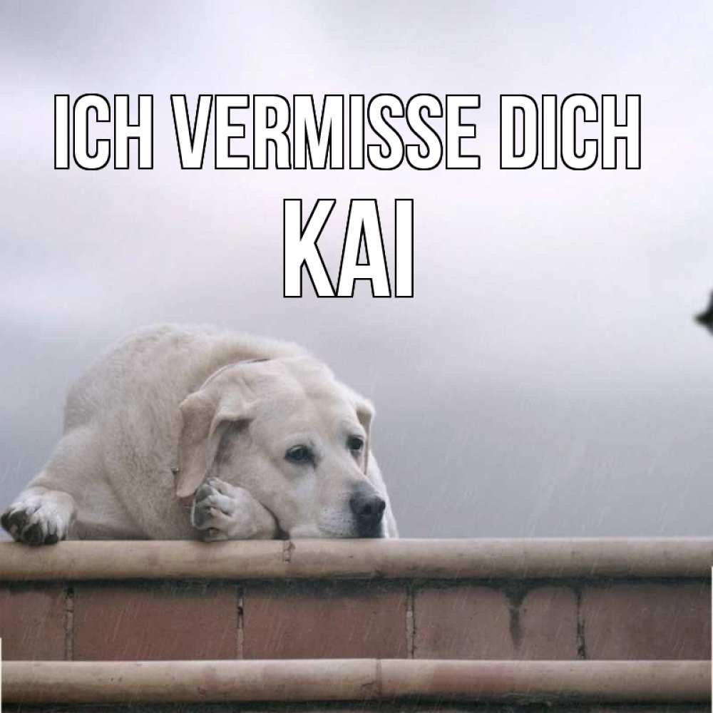 Открытка на каждый день с именем, Kai Ich vermisse dich ждет Прикольная открытка с пожеланием онлайн скачать бесплатно 