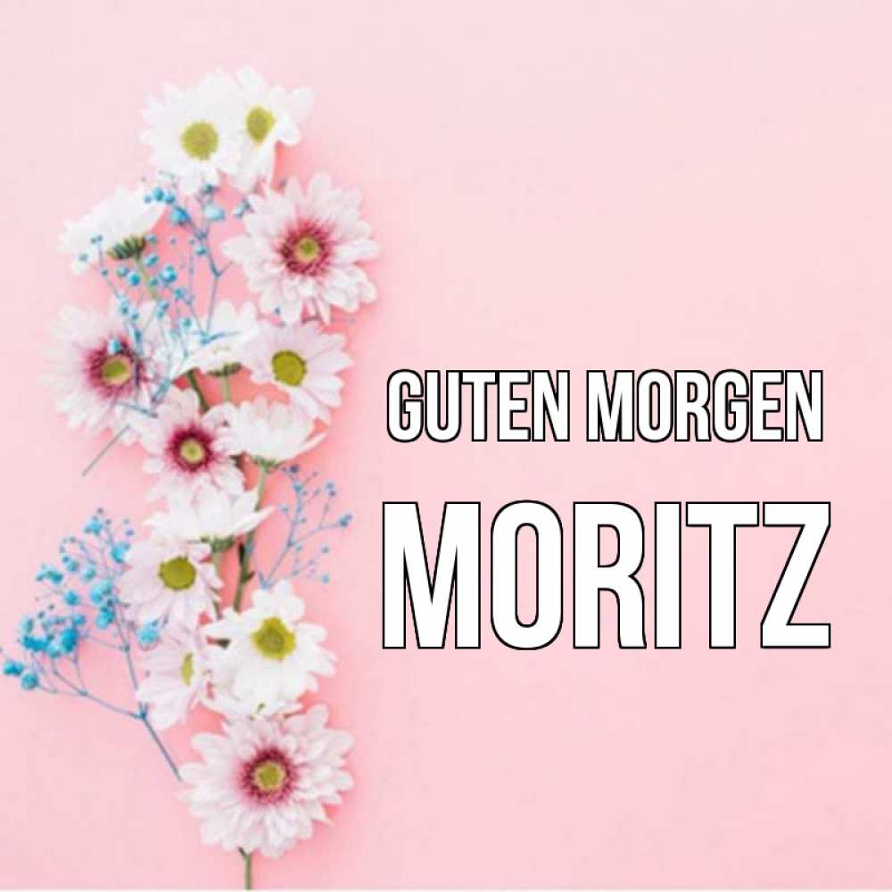 Открытка на каждый день с именем, Moritz Guten Morgen цветы с подписью Прикольная открытка с пожеланием онлайн скачать бесплатно 