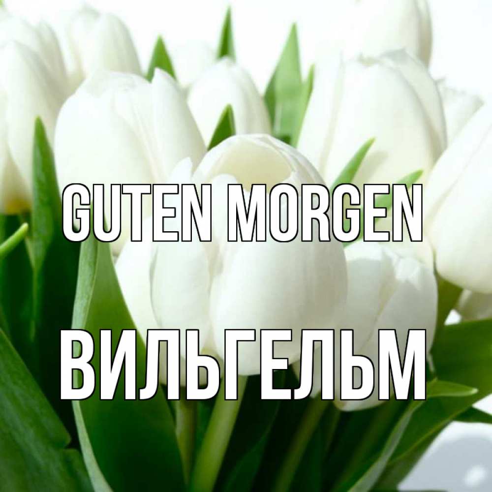Открытка на каждый день с именем, Вильгельм Guten Morgen открытки на каждый день по именам Прикольная открытка с пожеланием онлайн скачать бесплатно 