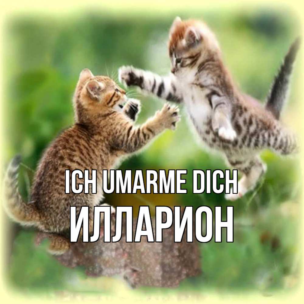 Открытка на каждый день с именем, Илларион Ich umarme dich игры котят Прикольная открытка с пожеланием онлайн скачать бесплатно 