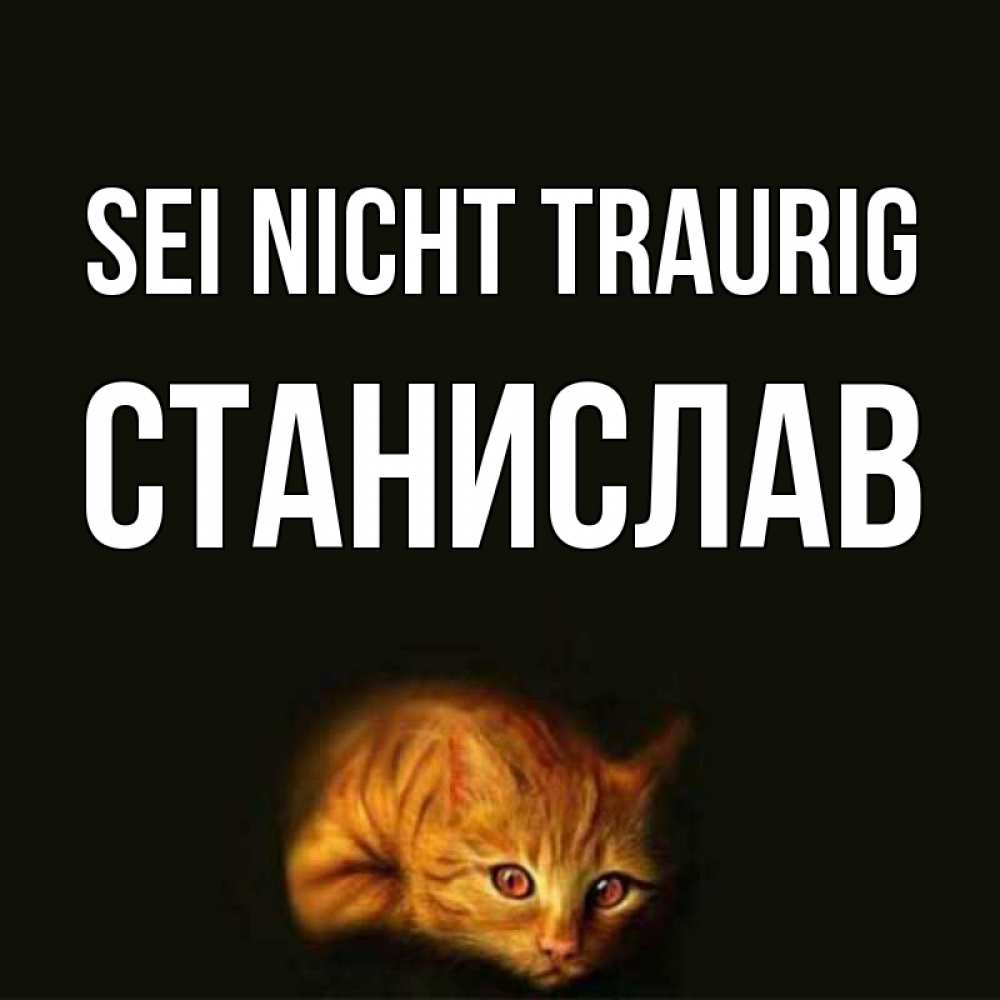 Открытка на каждый день с именем, Станислав Sei nicht traurig лежащий кот в темноте Прикольная открытка с пожеланием онлайн скачать бесплатно 