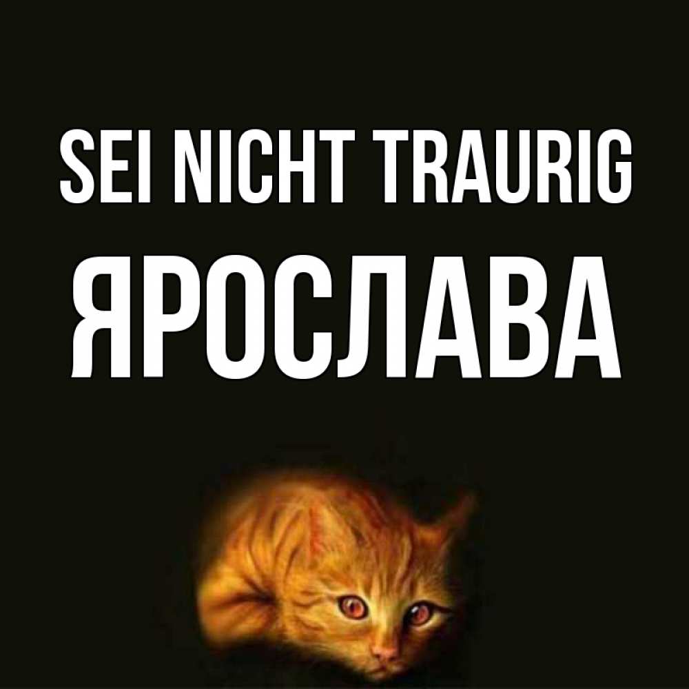 Открытка на каждый день с именем, Ярослава Sei nicht traurig лежащий кот в темноте Прикольная открытка с пожеланием онлайн скачать бесплатно 