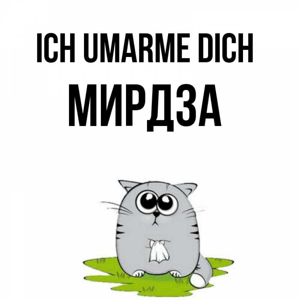 Открытка на каждый день с именем, Мирдза Ich umarme dich котик теребит платочек сидя на травке Прикольная открытка с пожеланием онлайн скачать бесплатно 