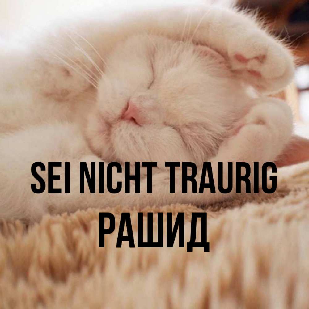 Открытка на каждый день с именем, Рашид Sei nicht traurig Котенок спит Прикольная открытка с пожеланием онлайн скачать бесплатно 