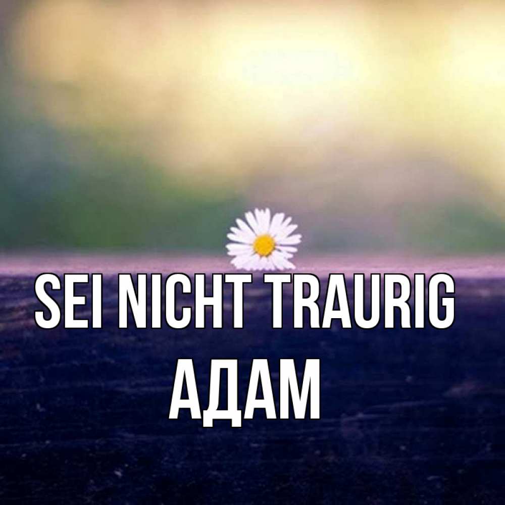 Открытка на каждый день с именем, Адам Sei nicht traurig красота Прикольная открытка с пожеланием онлайн скачать бесплатно 