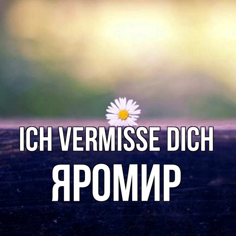 Открытка на каждый день с именем, Яромир Ich vermisse dich приходи в гости Прикольная открытка с пожеланием онлайн скачать бесплатно 