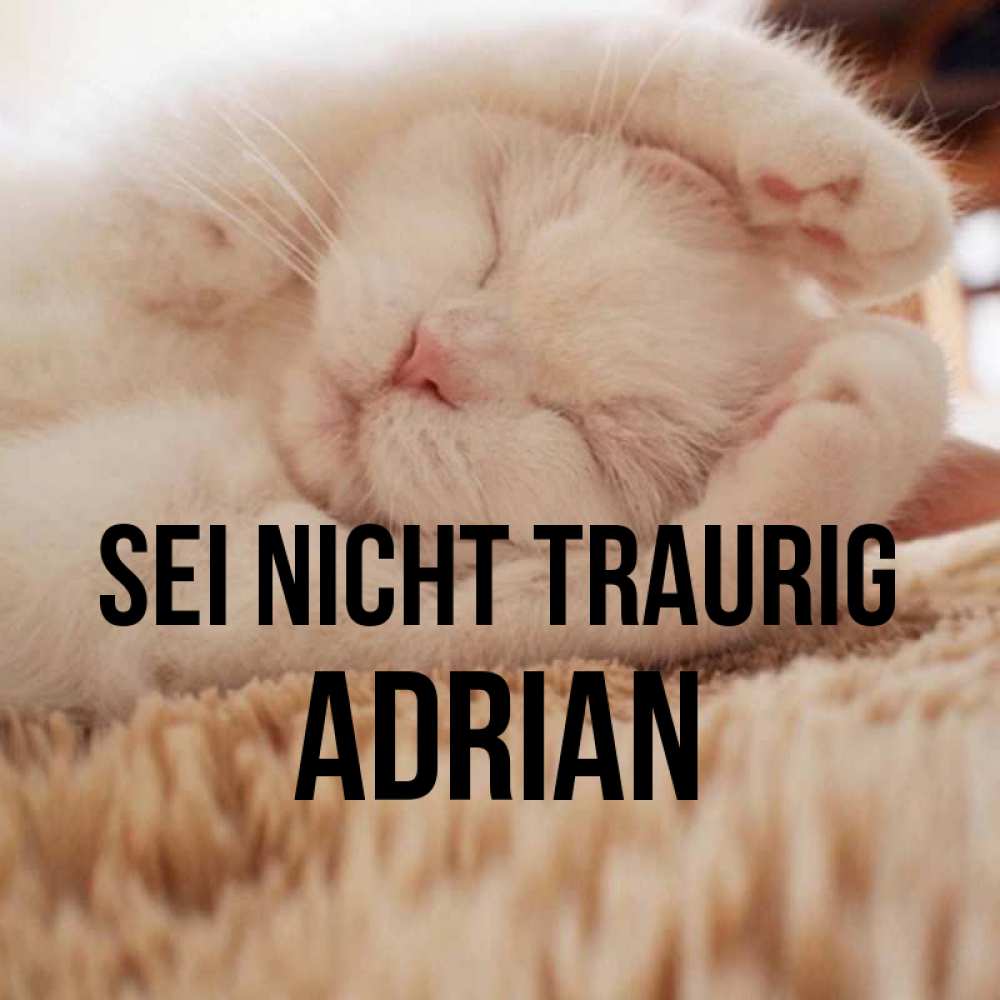 Открытка на каждый день с именем, Adrian Sei nicht traurig Котенок спит Прикольная открытка с пожеланием онлайн скачать бесплатно 