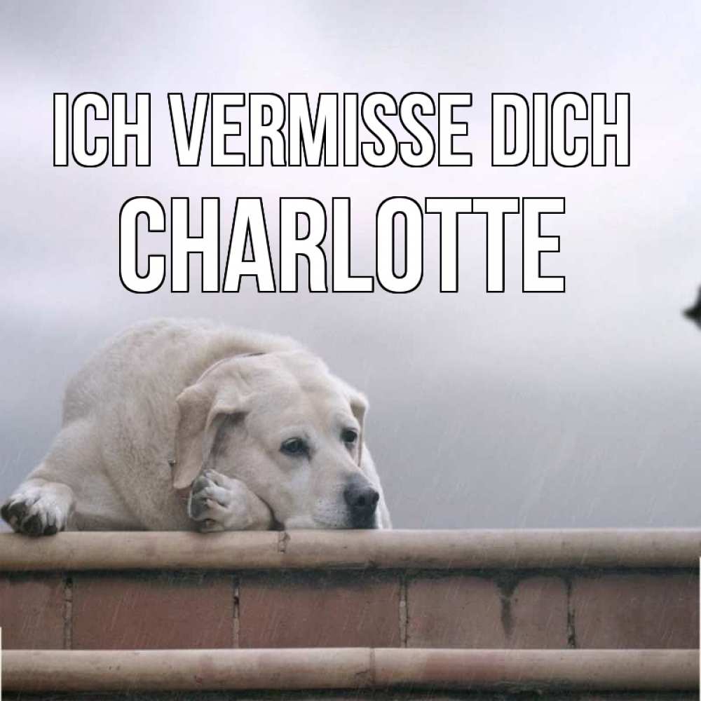 Открытка на каждый день с именем, Charlotte Ich vermisse dich ждет Прикольная открытка с пожеланием онлайн скачать бесплатно 