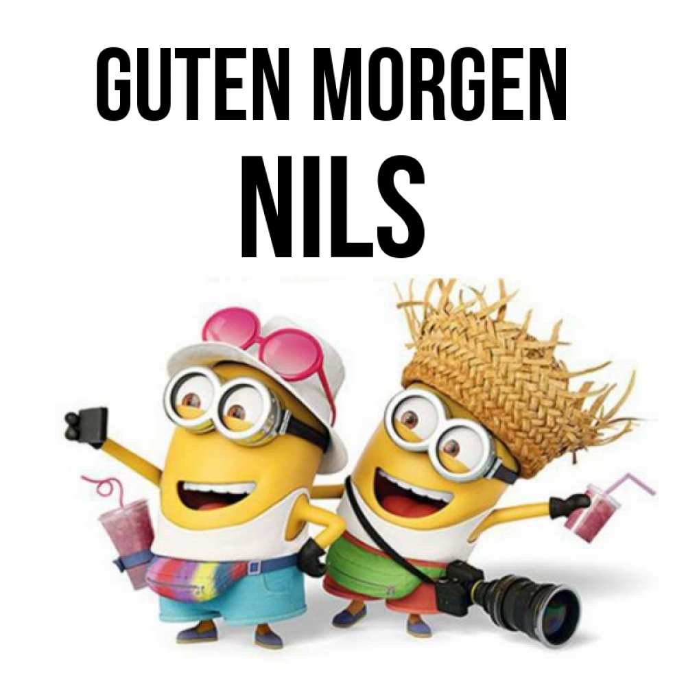 Открытка на каждый день с именем, Nils Guten Morgen карнавал Прикольная открытка с пожеланием онлайн скачать бесплатно 