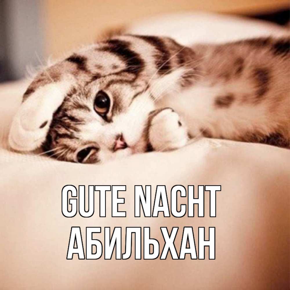 Открытка на каждый день с именем, Абильхан Gute Nacht сладких снов с животными Прикольная открытка с пожеланием онлайн скачать бесплатно 