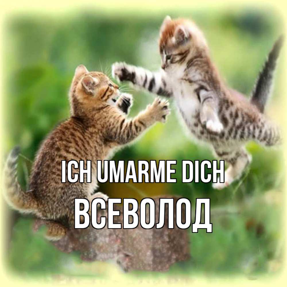 Открытка на каждый день с именем, Всеволод Ich umarme dich игры котят Прикольная открытка с пожеланием онлайн скачать бесплатно 