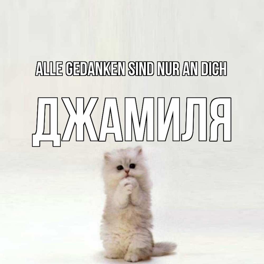 Открытка на каждый день с именем, Джамиля Alle Gedanken sind nur an dich кот стоит на задних лапах Прикольная открытка с пожеланием онлайн скачать бесплатно 