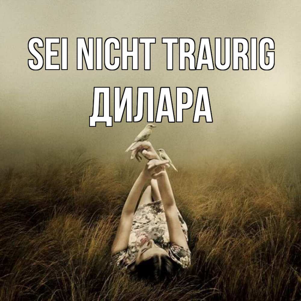 Открытка на каждый день с именем, Дилара Sei nicht traurig поле и туман Прикольная открытка с пожеланием онлайн скачать бесплатно 
