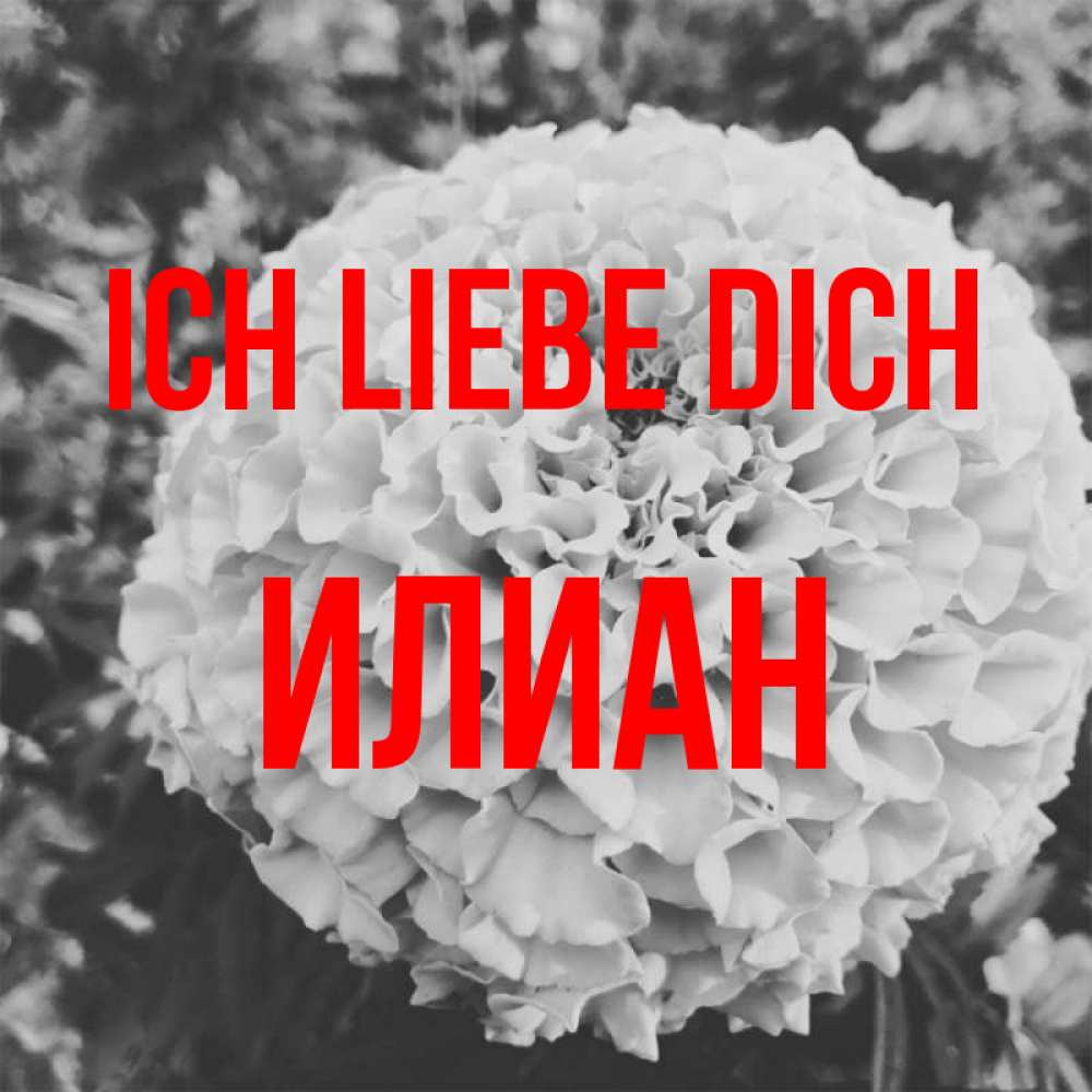 Открытка на каждый день с именем, Илиан Ich liebe dich подпись Прикольная открытка с пожеланием онлайн скачать бесплатно 