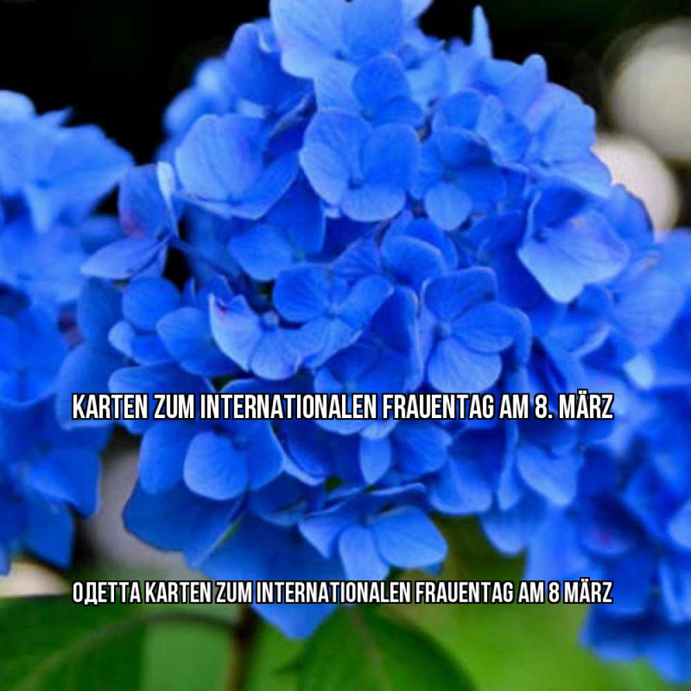 Открытка на каждый день с именем, Одетта Karten zum Internationalen Frauentag am 8 März синие цветы Прикольная открытка с пожеланием онлайн скачать бесплатно 