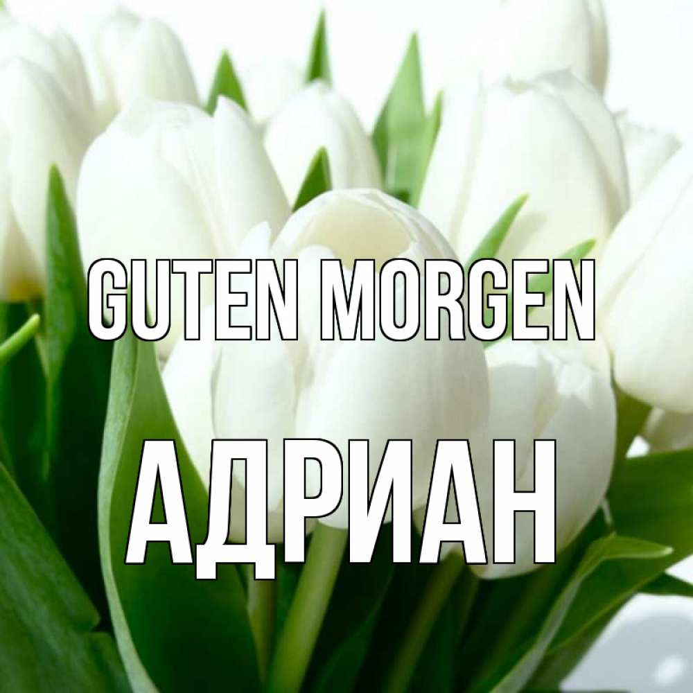 Открытка на каждый день с именем, Адриан Guten Morgen открытки на каждый день по именам Прикольная открытка с пожеланием онлайн скачать бесплатно 